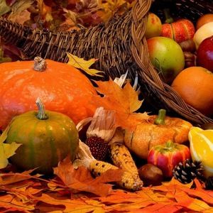 Meet your Posher, Juan